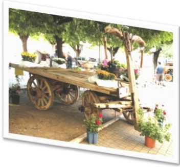 Festa del ringraziamento a Visano